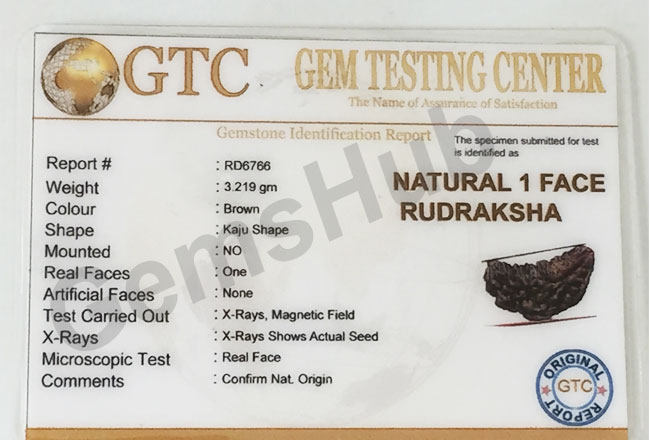 1 Face/Mukhi Certified Rudraksha Premium Quality